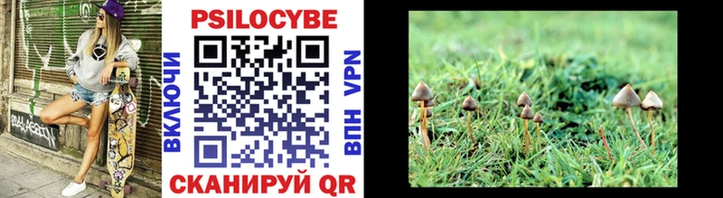 Галлюциногенные грибы Psilocybe  Качканар 