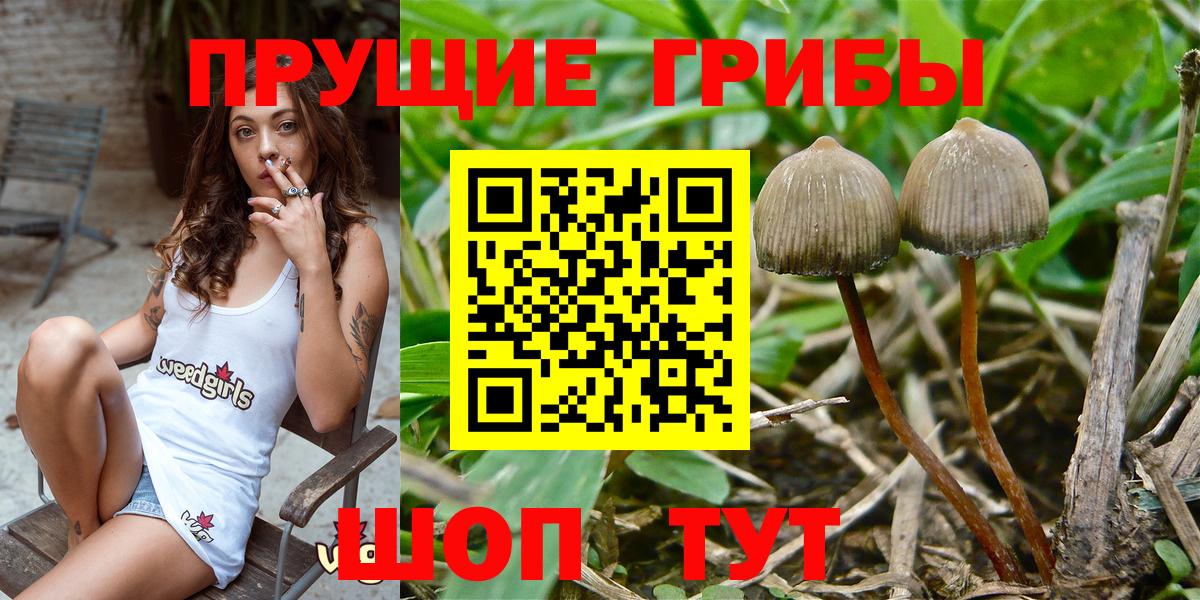 Галлюциногенные грибы MAGIC MUSHROOMS  Качканар 