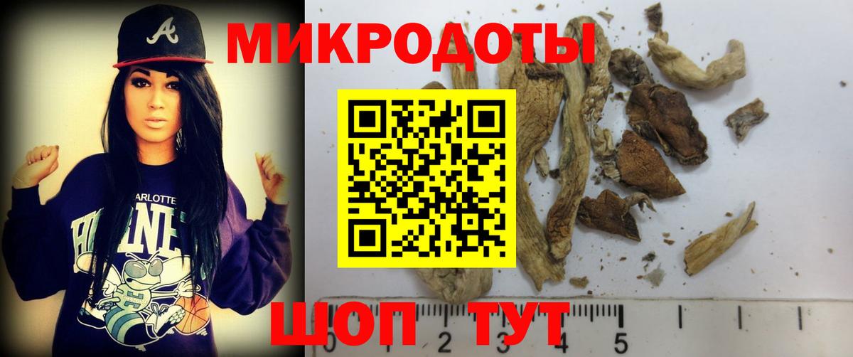 Псилоцибиновые грибы мицелий Качканар