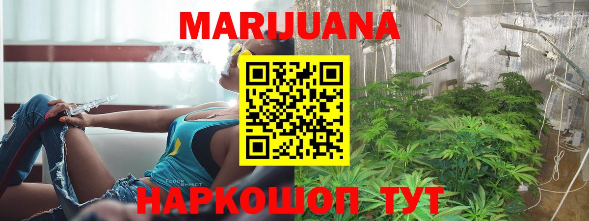 Канабис OG Kush  Канабис White Widow  Марихуана сатива  Вход с VPN  Конопля Bruce Banner  Качканар 